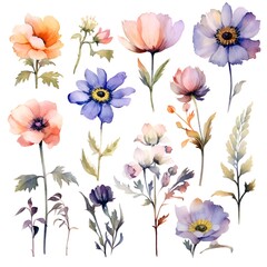 Watercolor garden flower illustration set isolated on white background. Botanic, floral element collection for greeting card, invitations, wedding, birthday designs