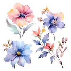 Obraz na płótnie Canvas Watercolor garden flower illustration set isolated on white background. Botanic, floral element collection for greeting card, invitations, wedding, birthday designs