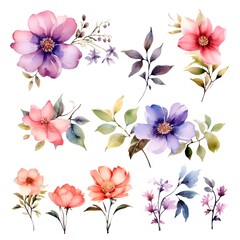 Fototapeta na wymiar Watercolor garden flower illustration set isolated on white background. Botanic, floral element collection for greeting card, invitations, wedding, birthday designs