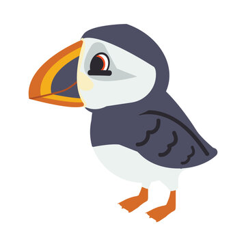 recommend clip art: Atlantic Puffin Bird Cartoon Animal