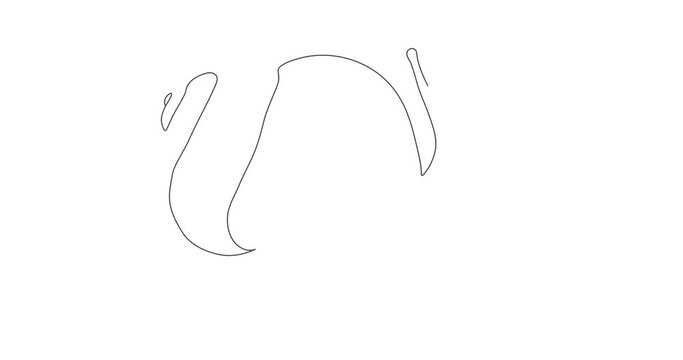 Snail line art vector animation video. Snail continuous line drawing video. Snail vector. Vector outline snail motion video. snail 4k video.