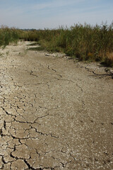 marais; region Pays de Loire; marais Breton; 85, Vendée, Loire Atlantique, France