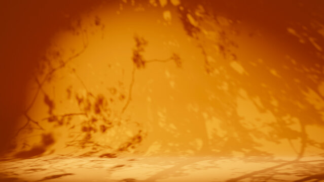 Autumn background with leaves shadows and sunlight. September colors.