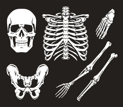 Disassembled skeleton monochrome set stickers