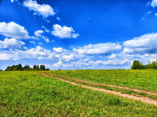 Fototapeta na wymiar Natural landscape, clay soil road going to horizon trougth green field, blue sky, white clouds. beautiful meadow. Nature and landscape with good weather on summer, spring day. Travel and life