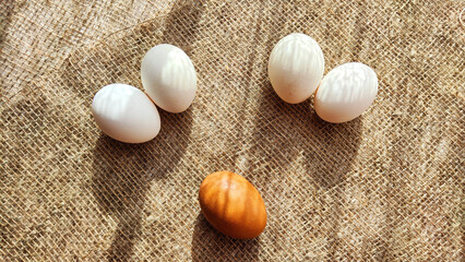 Lots of white eggs and one brown egg on rag jute cloth. Concept of individuality, exclusivity. Bullying, group and confrontation. Leadership and confidence. Agricultural Production of eggs, incubator