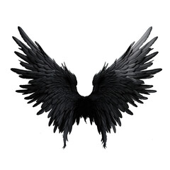 Naklejka premium Angel wings are black