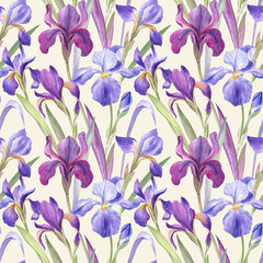 Iris flowers seamless pattern on a cream background. Watercolor illustration. Beautiful floral surface design for the home textile, fabric, wrapping paper, wallpaper, stationery products