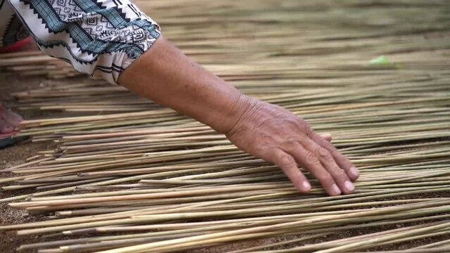 prun grass drying process " Lepironia articulata" environmentally friendly handicraft material.