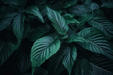 Background of dark green tropical leaves with lush foliage texture. Generative AI