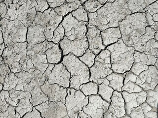 Sun-baked earth whispers tales of scorching days.