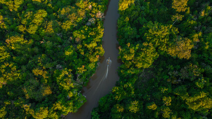 AMAZON FORESTS THAT ARE FLOODED BY THE WATERS OF SURROUNDING RIVERS, THE RIVERS FORM ROUTES FOR...