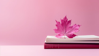 Books in the fall. Warm and modern shades of pink and magenta. Concept of autumn book sale, reading and relaxing autumn moments. Generative AI.