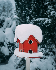 bird house in the snow