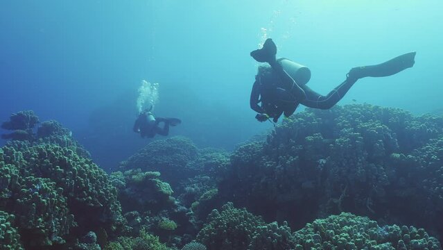 Two scuba divers swims in the deep over coral garden, Slow motion, Backlighting (Contre-jour), Back view