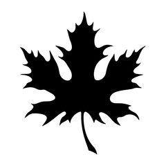 Maple leaf. Vector illustration. Isolated on white background.