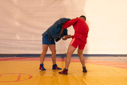 two men in blue and red tights are wrestling on yellow tatami. Sambo wrestlers train. Sambo competition