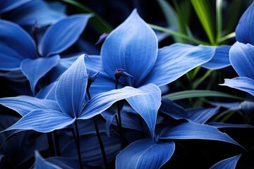 Blue Plants in the Garden: Stunning Blue Stalks, Leaves, and Vines on Display