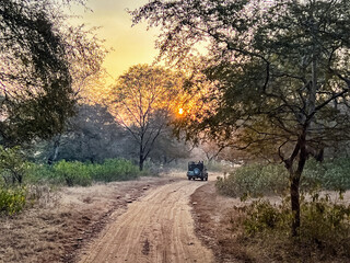 Dirt Road In The Ranthambore Tiger Preserve