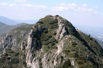A mountain covered with green vegetation
