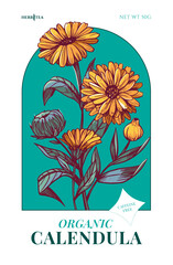 Calendula herbal tea. Hand drawn herbal plants. Sketch vector illustration. Labels and package design