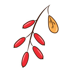 Cute clipart in autumn style with a barberry
