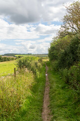Fototapeta na wymiar Barrows in the Wiltshire Countryside