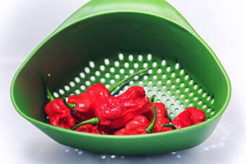 carolina reapers in green colander