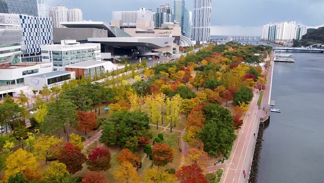 Aerial View of Autumn Naru Park, Centum City, Busan, South korea, Asia