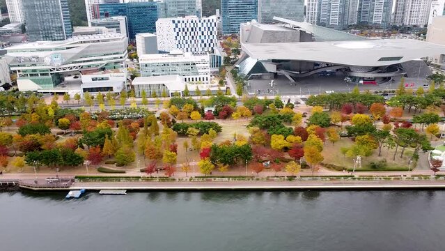 Aerial View of Autumn Naru Park, Centum City, Busan, South korea, Asia
