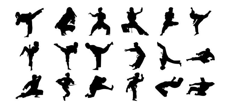 vector silhouette collection of silat people, pencak silat or martial arts.
