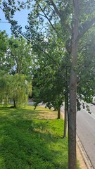 Nature