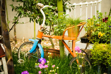 Bicycle in Flowering Backyard Garden