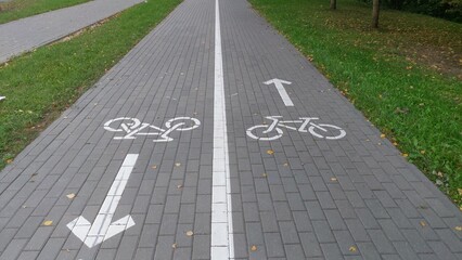 Obraz premium The bike lane, located between the park's trees and the roadway of a city street, is paved with concrete tiles and marked with pavement markings. In the autumn, yellowed fallen leaves lie on the path