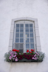 Fototapeta na wymiar Fenêtre grillagée avec fleurs, Québec, verticale