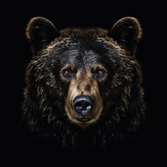Portrait of a bear in front of a black background (AI Generated) 