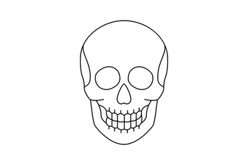 Human skull line silhouette. Vector minimalist linear illustration.