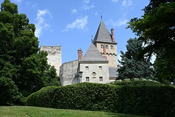 Fototapeta na wymiar Burg Wartenstein, Österreich, 18.07.2023