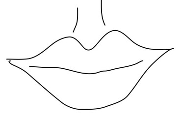 hand drawn illustration