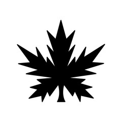 Maple leaf icon