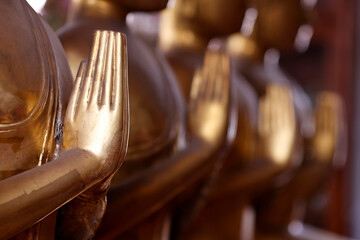 Religion and spirituality.  Buddhism.