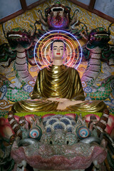Religion and spirituality.  Buddhism.