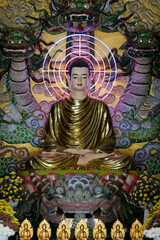 Religion and spirituality.  Buddhism.