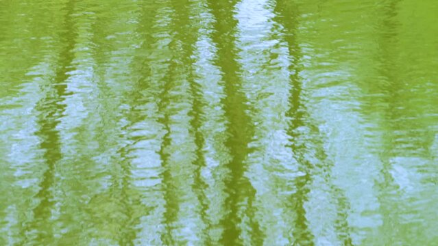 Water and reflections in the Urbel river in the surroundings of the Cuevas de Valdegoba near Hu&eacute;rmeces. World geological heritage UNESCO. Las Loras Geopark. Burgos. Castile and Leon. Spain. Europe