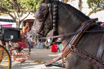 Experience the essence of Spain as horses and riders grace the streets of Malaga. A blend of history, music, and dance, the fair offers a unique window into traditional Andalusian life.
