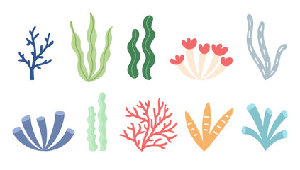 Set of hand drawn flat cartoon seaweed and corals on isolated white background. © AnaRisyet