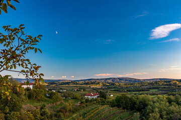 Colorful sunset in the vineyards at the border between Italy and Slovenia