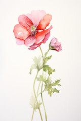 Watercolor painting of beautiful spring flowers