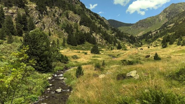 stream and meadow in andorra mountains