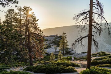 Scenic view of Taft point in Yosemite National Park on a sunny day